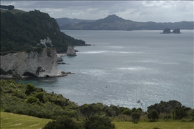 Cathedral Cove